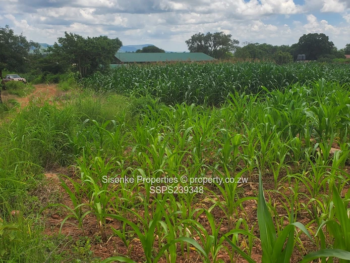 9,600 sqm Roadside Industrial Land , Chinhoyi
