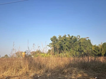 Commercial & Industrial Land