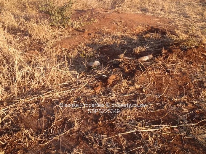 Stand for Sale in  Melbourne Park ,Chiredzi – Your Dream Awaits!** (Sole Mandate)