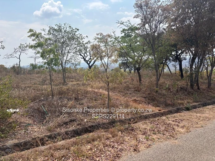 Spacious prime stand (1.379 hectares)