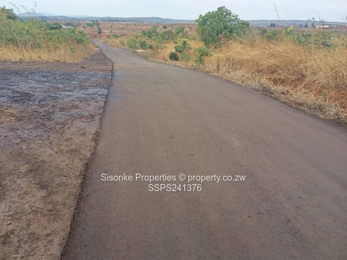 Buckland Terraces ,Pomona – School Stands For Sale 