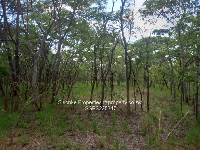 Vast 25 hectares Farm Land in  Ngezi, Chegutu – your agricultural haven is here