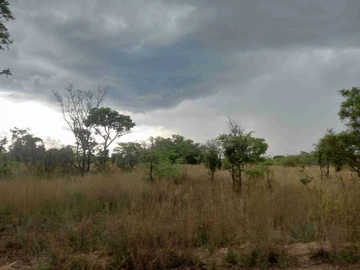 Farm & Agricultural Land