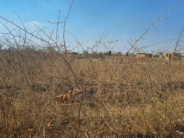 Land