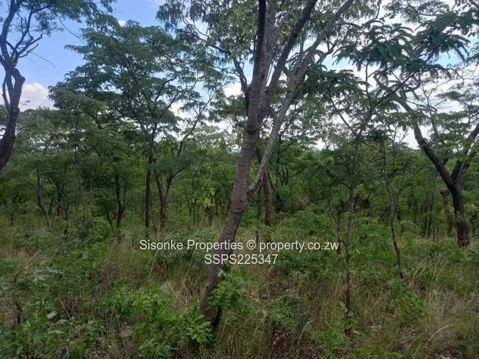 Vast 25 hectares Farm Land in  Ngezi, Chegutu – your agricultural haven is here