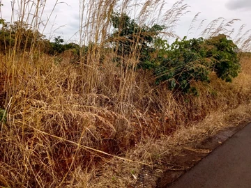 Commercial & Industrial Land