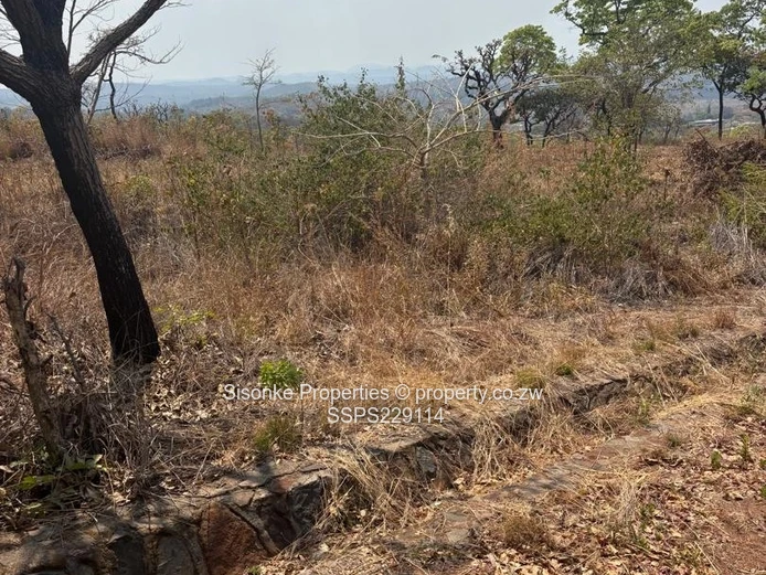 Spacious prime stand (1.379 hectares)