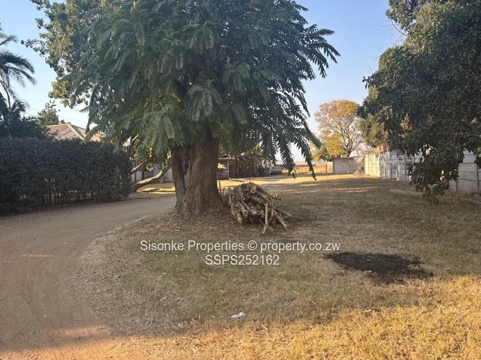 9850m² commercial stand for sale