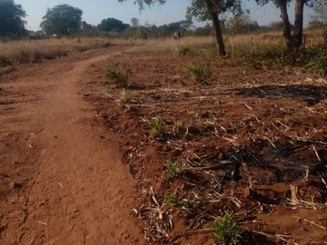 Commercial & Industrial Land