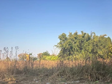 Commercial & Industrial Land