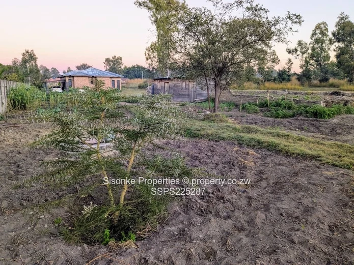 Spacious land with a 3 bedroomed cottage in Hatfield