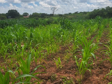 Commercial & Industrial Land