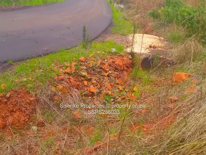 Spacious corner stand for sale in Pomona Buckland terrace