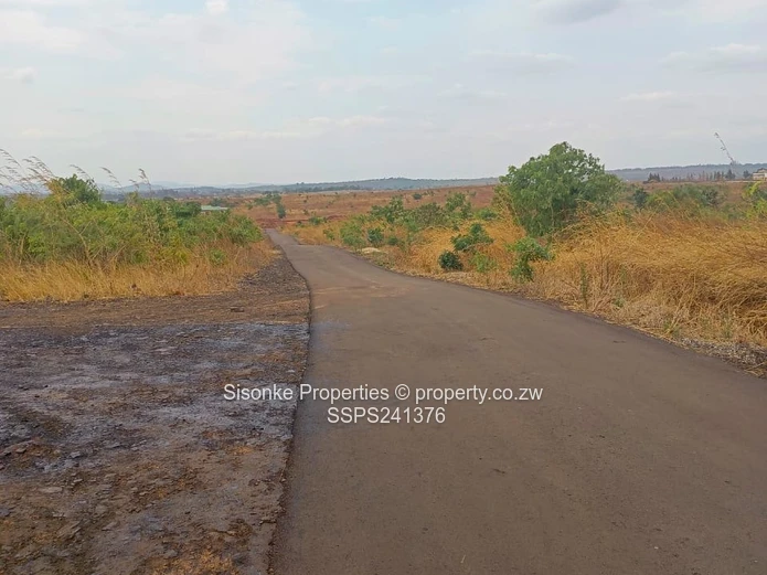 Buckland Terraces ,Pomona – School Stands For Sale 
