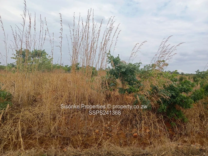 Buckland Terraces – Exclusive Event & Lifestyle Stands For Sale 