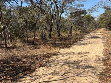 Farm & Agricultural Land