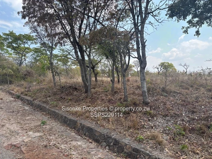 Spacious prime stand (1.379 hectares)