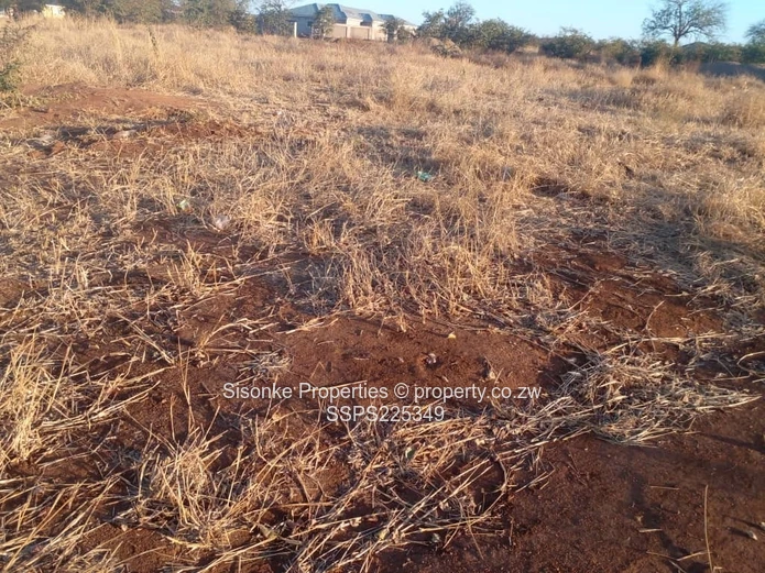 Stand for Sale in  Melbourne Park ,Chiredzi – Your Dream Awaits!** (Sole Mandate)