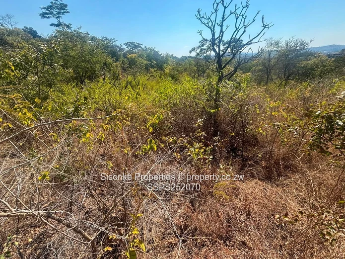 Prime Development Opportunity In Shawasha Hillsprime Development Opportunity In Shawasha Hill
