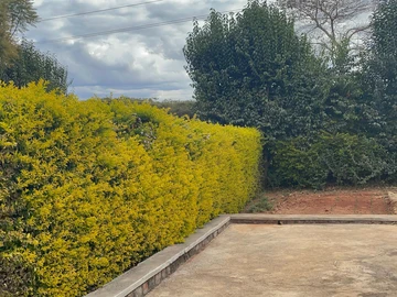 4 Bedroom Flat & Apartment