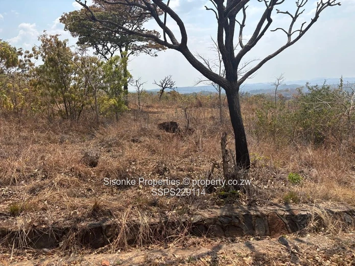 Spacious prime stand (1.379 hectares)