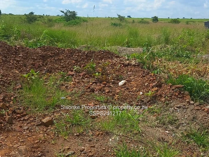 Haydon Park – Spacious Residential Opportunity! 