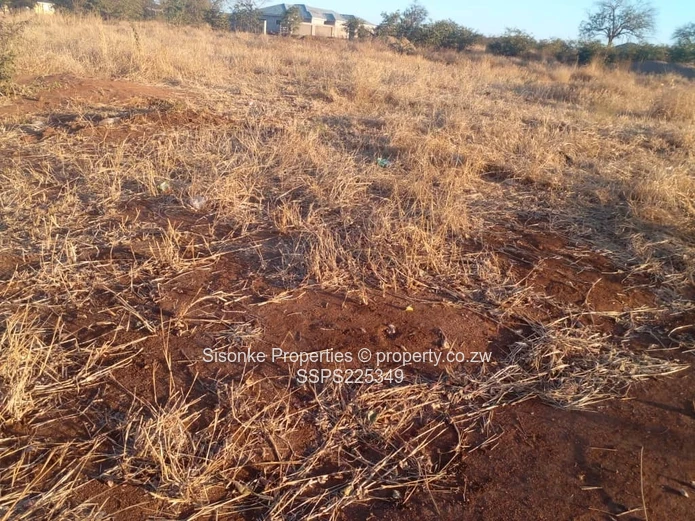 Stand for Sale in  Melbourne Park ,Chiredzi – Your Dream Awaits!** (Sole Mandate)