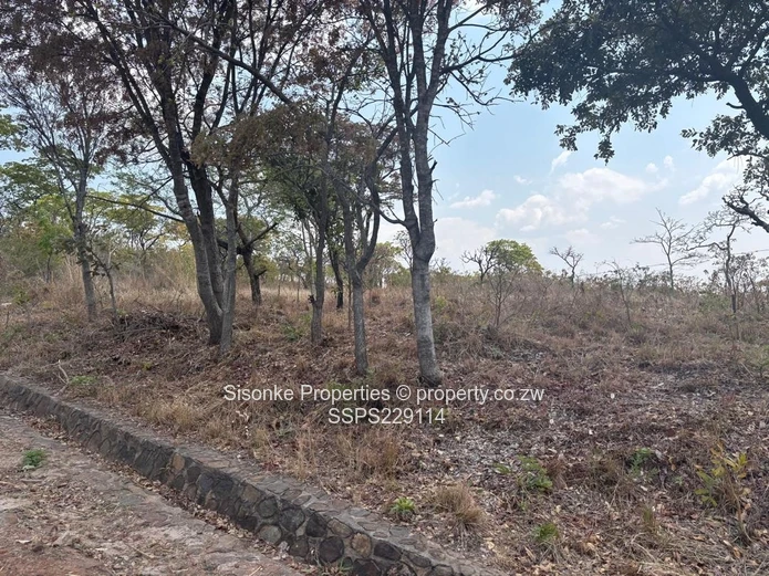 Spacious prime stand (1.379 hectares)