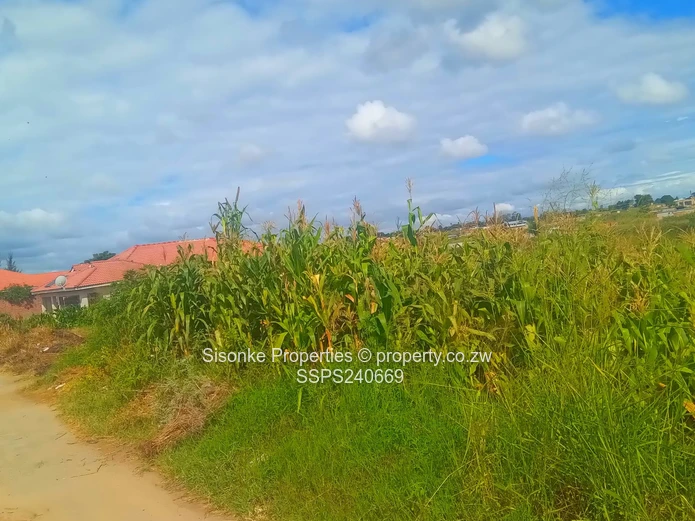 Prime 1000m2 stand for sale in Rockview