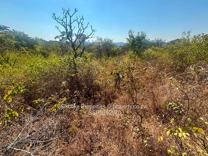 Prime Development Opportunity In Shawasha Hillsprime Development Opportunity In Shawasha Hill
