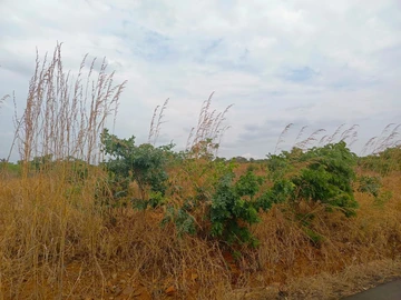 Commercial & Industrial Land