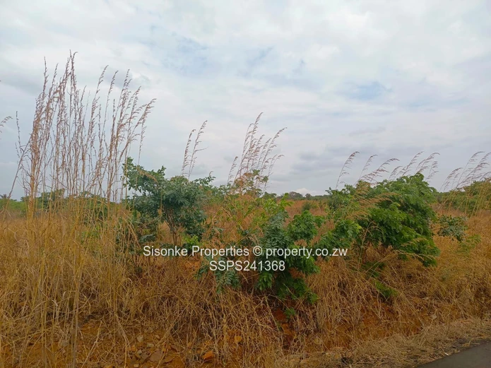 Buckland Terraces – Exclusive Event & Lifestyle Stands For Sale 