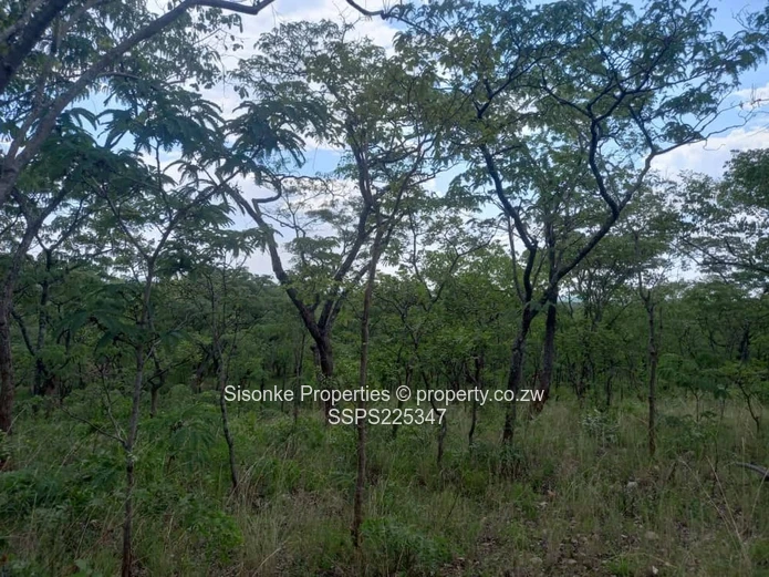 Vast 25 hectares Farm Land in  Ngezi, Chegutu – your agricultural haven is here