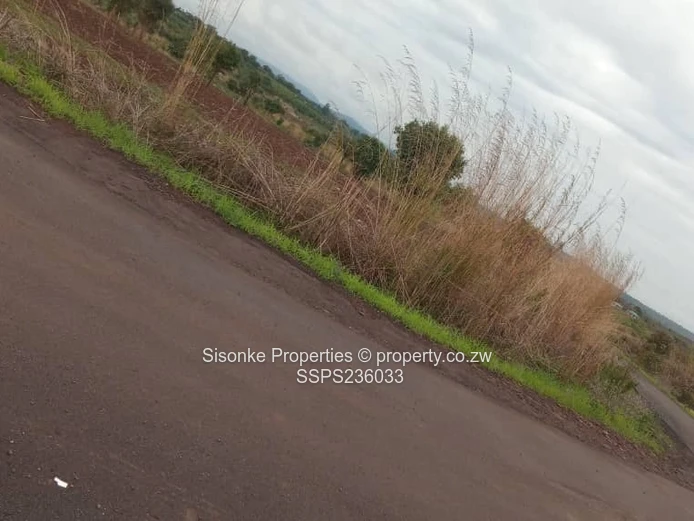 Spacious corner stand for sale in Pomona Buckland terrace