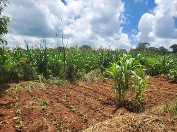 Commercial & Industrial Land