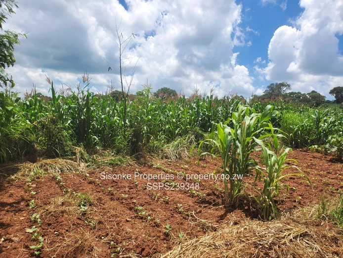 9,600 sqm Roadside Industrial Land , Chinhoyi