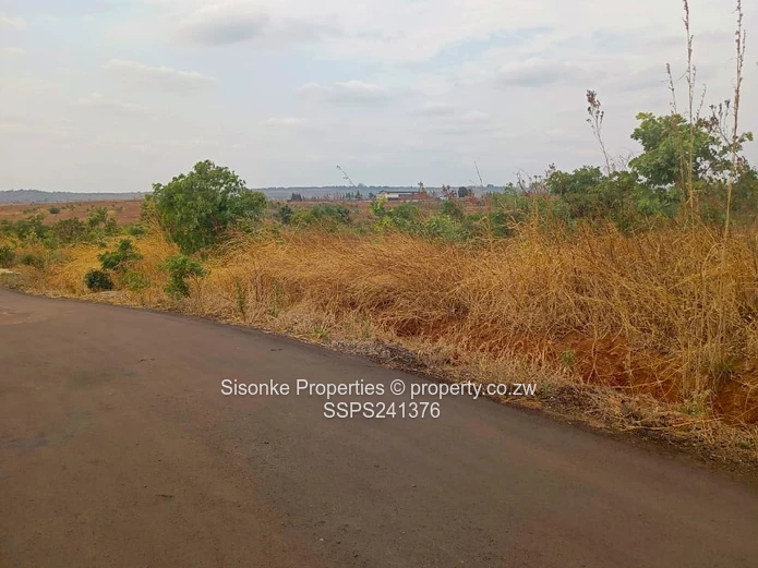 Buckland Terraces ,Pomona – School Stands For Sale 