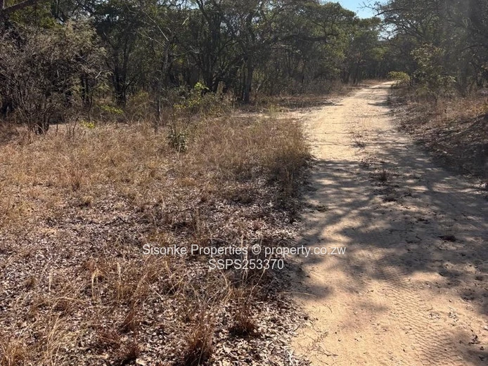 Zenda Farm — 3,025 Hectare Investment Opportunity