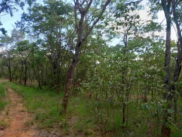 Farm & Agricultural Land