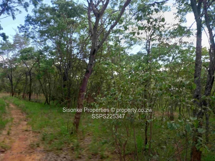 Vast 25 hectares Farm Land in  Ngezi, Chegutu – your agricultural haven is here