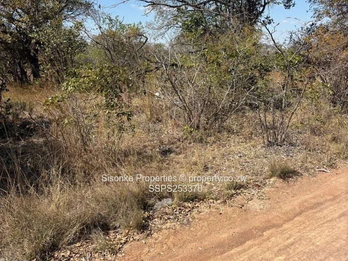 Zenda Farm — 3,025 Hectare Investment Opportunity