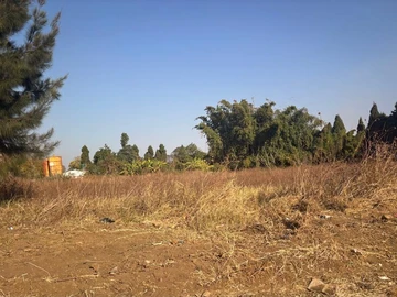 Commercial & Industrial Land