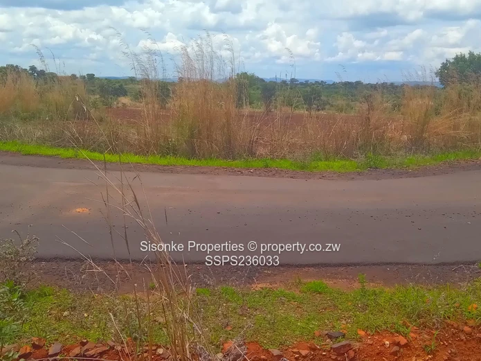 Spacious corner stand for sale in Pomona Buckland terrace