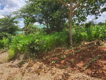 Commercial & Industrial Land