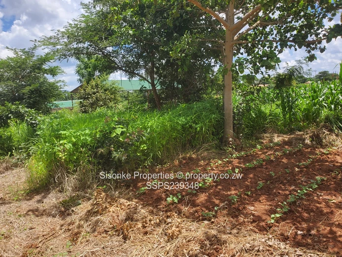 9,600 sqm Roadside Industrial Land , Chinhoyi