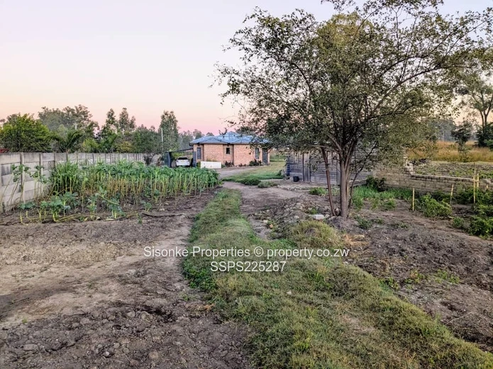 Spacious land with a 3 bedroomed cottage in Hatfield