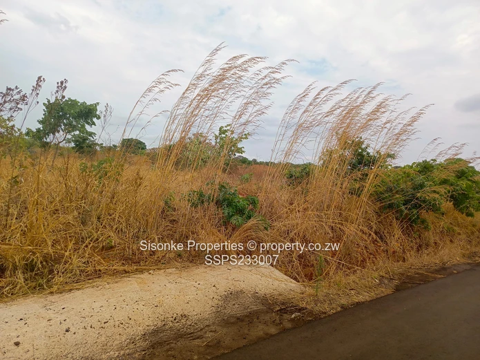 980m² Stand for sale in Pomona