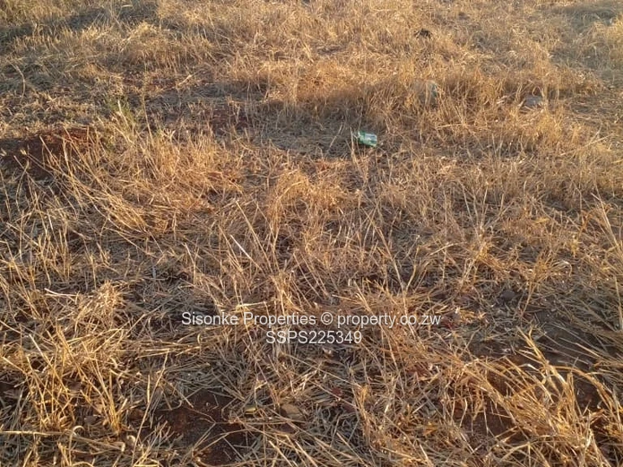 Stand for Sale in  Melbourne Park ,Chiredzi – Your Dream Awaits!** (Sole Mandate)