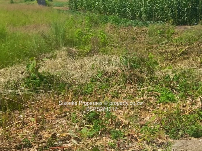 Haydon Park – Spacious Residential Opportunity! 