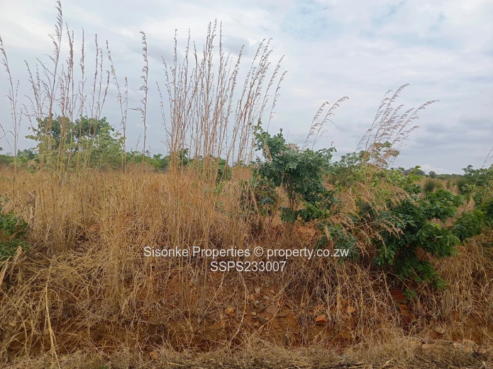 980m² Stand for sale in Pomona